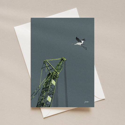 Green Crane and Crane Postcard